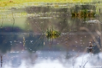 Hochwasser